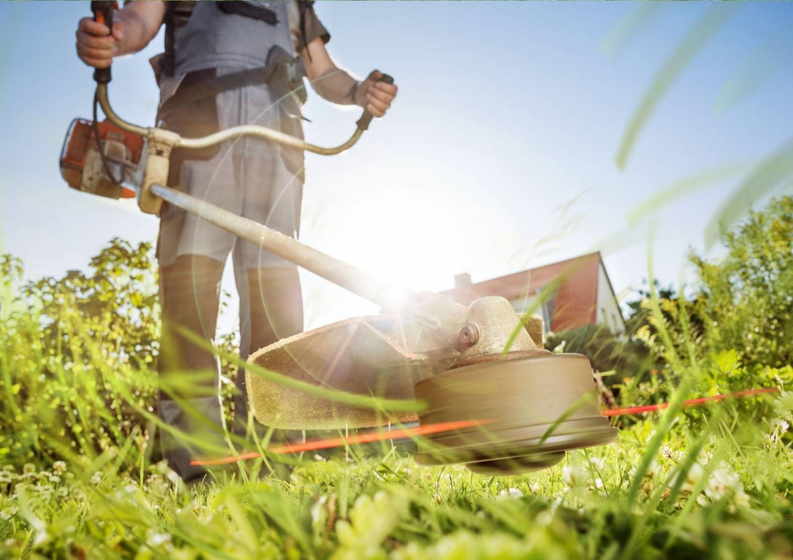 Jardinier paysagiste à à proximité de Carqueiranne pour aménagement de jardin sur-mesure