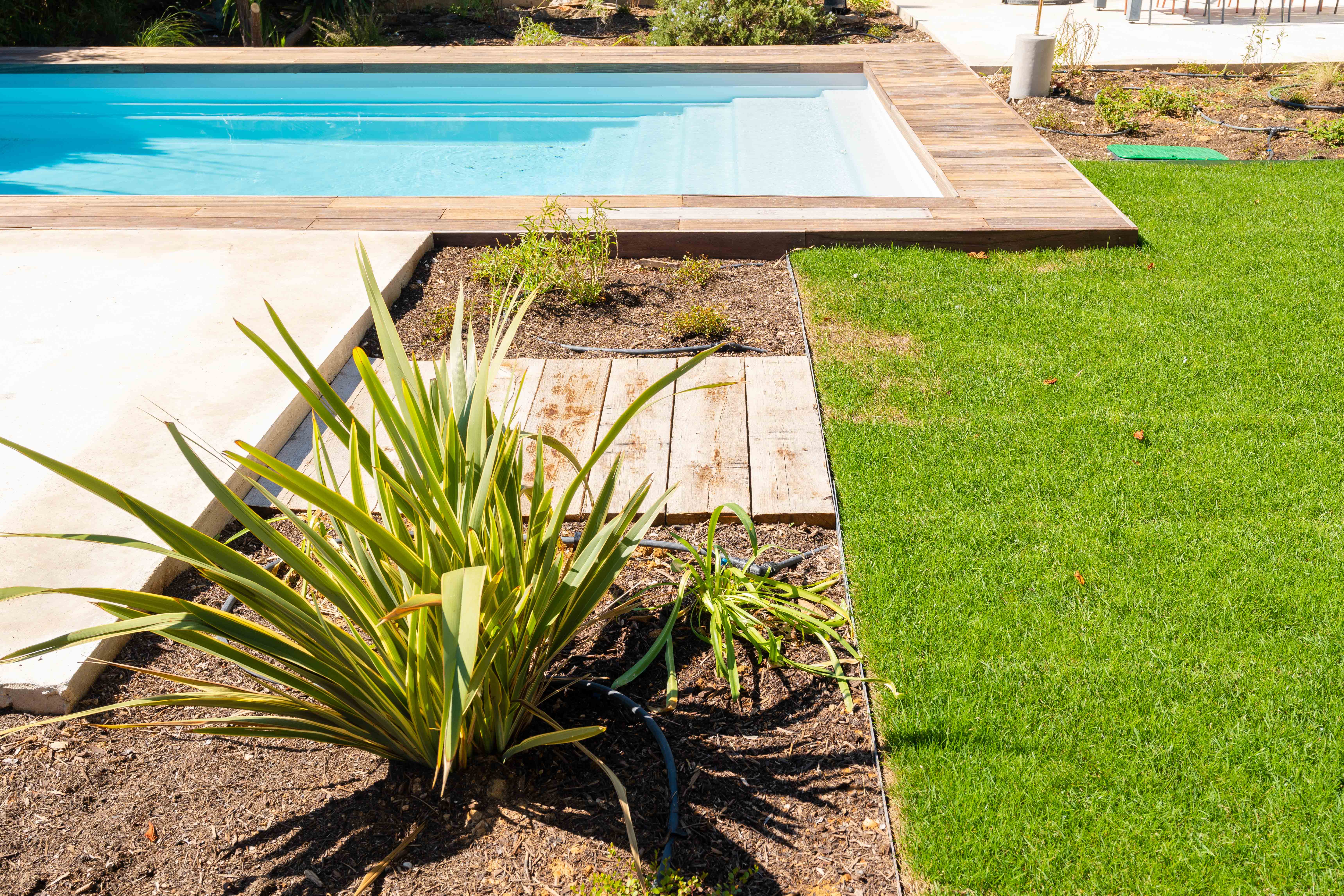 Aménagement d'un jardin méditerranéen avec arrosage automatique à Bandol dans le Var