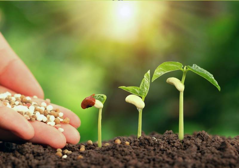 Entretien de jardin à six fours les plages pour les professionnels et les jardins de copropriétés.