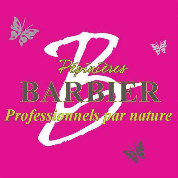 Pépinières BARBIER spécialisées dans la vente de plantes et gros sujets d'exception